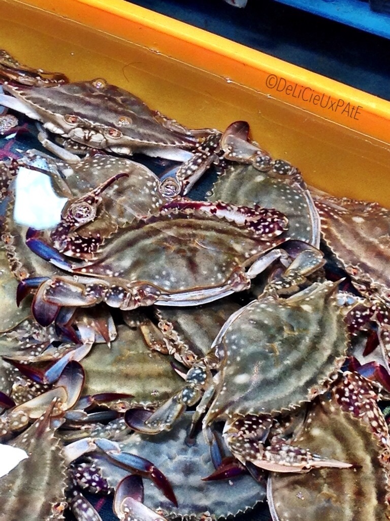 20130505-145427.jpg