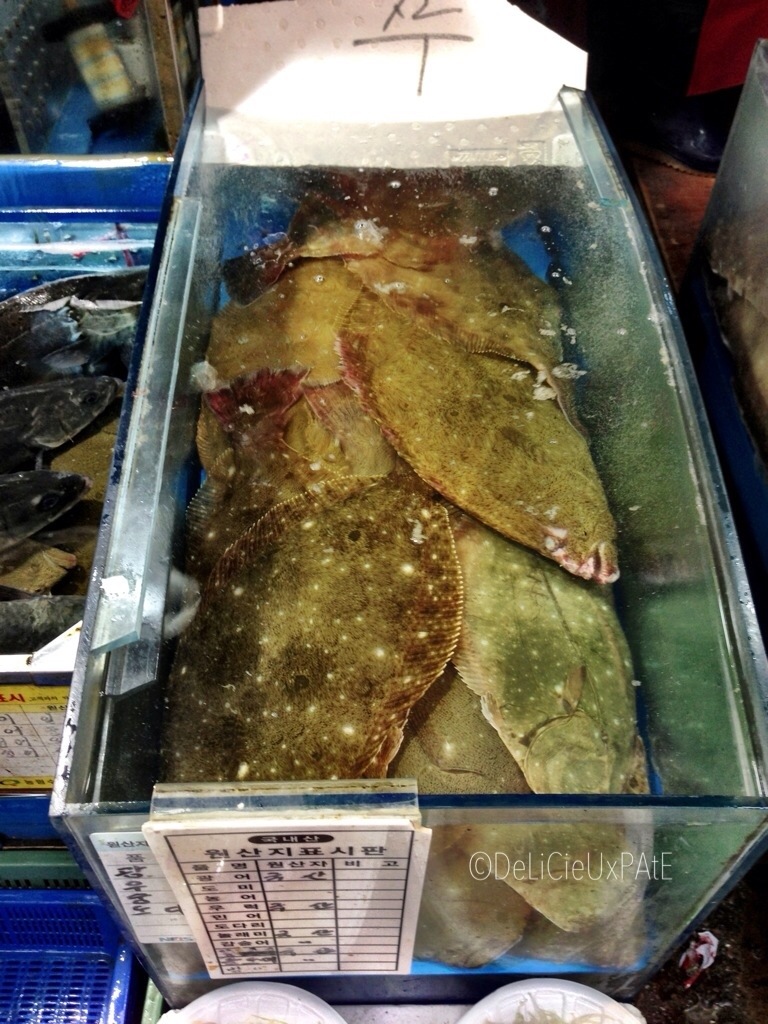 20130505-145531.jpg
