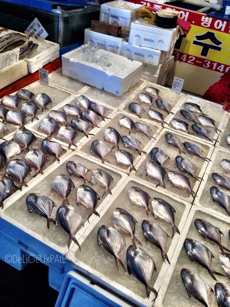 20130505-145627.jpg